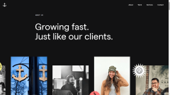 三年入选“亚太区立异设想力Top30” 三年入选“亚太区立异设想力Top30”