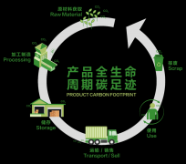 姓辞别了“看不懂、选不明”的迷惑